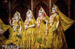 Daily Darshan