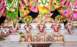 Daily Darshan