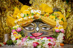 Daily Darshan