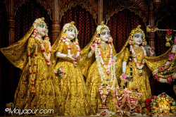 Daily Darshan
