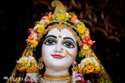 Daily Darshan