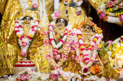 Daily Darshan