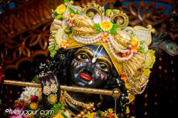 Daily Darshan