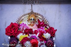 Daily Darshan