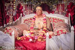 Daily Darshan