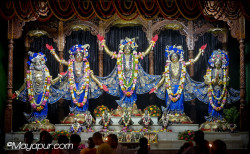 Daily Darshan