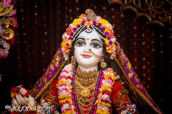 Daily Darshan