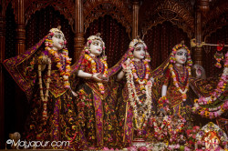 Daily Darshan