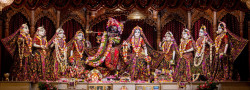 Daily Darshan