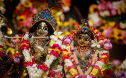 Daily Darshan