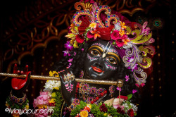 Daily Darshan