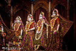 Daily Darshan