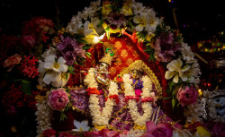 Daily Darshan