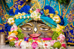 Daily Darshan