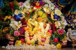 Daily Darshan