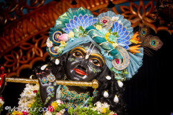 Daily Darshan