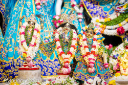 Daily Darshan