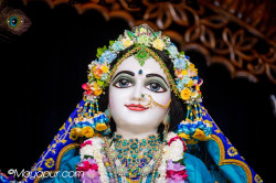 Daily Darshan