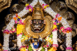 Daily Darshan