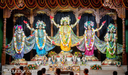Daily Darshan