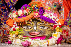 Daily Darshan