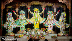 Daily Darshan