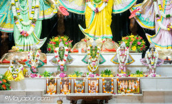 Daily Darshan