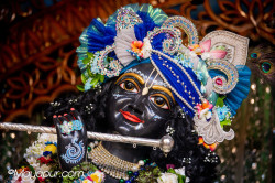 Daily Darshan