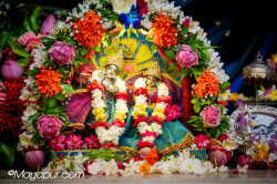 Daily Darshan