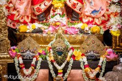 Daily Darshan