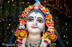 Daily Darshan