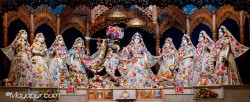 Daily Darshan