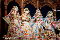 Daily Darshan
