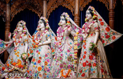 Daily Darshan
