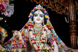Daily Darshan