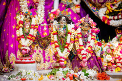 Daily Darshan