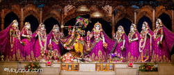 Daily Darshan