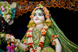 Daily Darshan