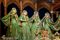 Daily Darshan