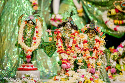 Daily Darshan
