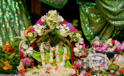 Daily Darshan