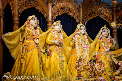 Daily Darshan