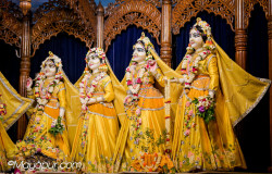 Daily Darshan