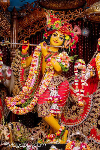 Daily Darshan