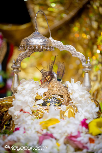 Daily Darshan