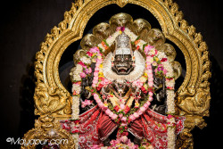 Daily Darshan