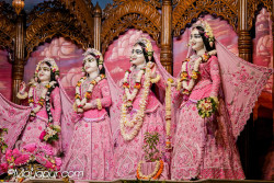Daily Darshan