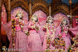Daily Darshan