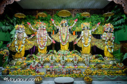 Daily Darshan