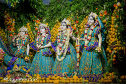 Daily Darshan